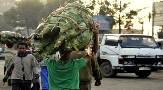 توريد القات الإثيوبي إلى عدن يشدد الحصار على اقتصاد الحوثيين