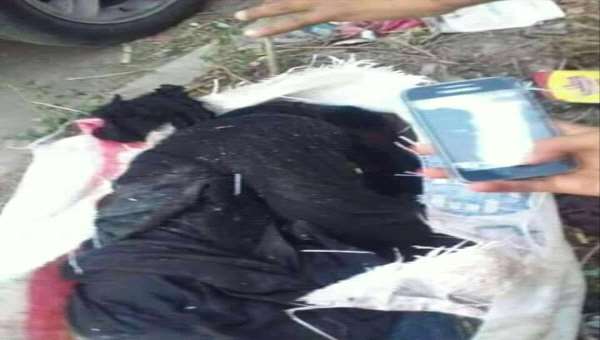 هل تحرك جريمة (أمل بنت اليمن) كرامة العرب ضد الفرس كما حركت صرخة (بنت عمورية) كرامة أجدادهم ضد الروم؟