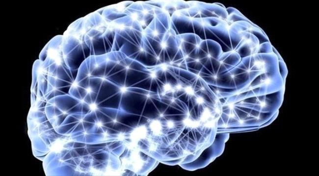 هل ينتج الدماغ خلايا جديدة مع التقدم في السنّ؟