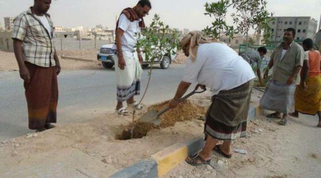 صندوق النظافة محافظة المهرة ينفذ اليوم تشجير بعض شوارع الغيضة
