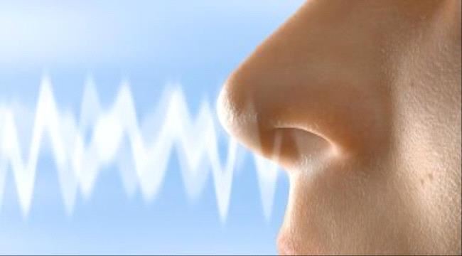 اعرف جسمك.. كيف تعمل حاسة الشم؟ ولماذا ترتبط الروائح بذكرياتنا؟
