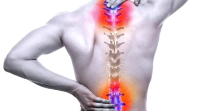اعرف جسمك .. كيف يتحكم 31 زوجًا من الأعصاب الشوكية فى حركتك؟