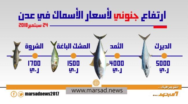 ارتفاع جنوني لاسعار الأسماك بعدن