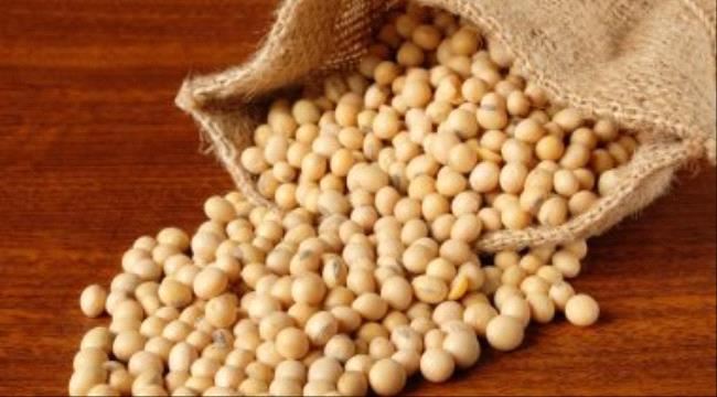 اضرار فول الصويا عديدة منها الحساسية