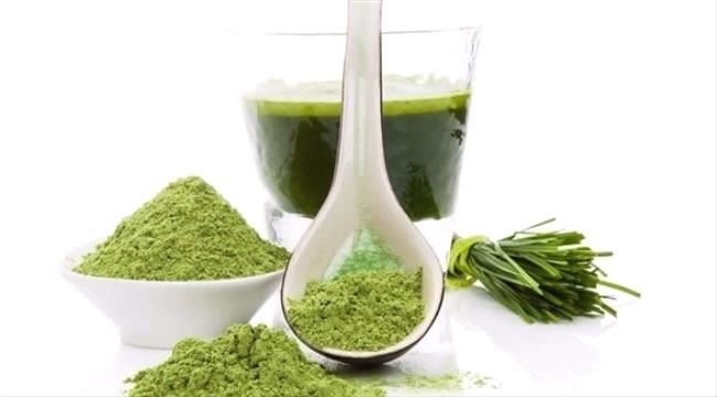 عشبة القمح.. سر الصحة والجمال