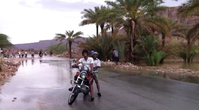 كلب مسعور يعض طفلين بدوعن