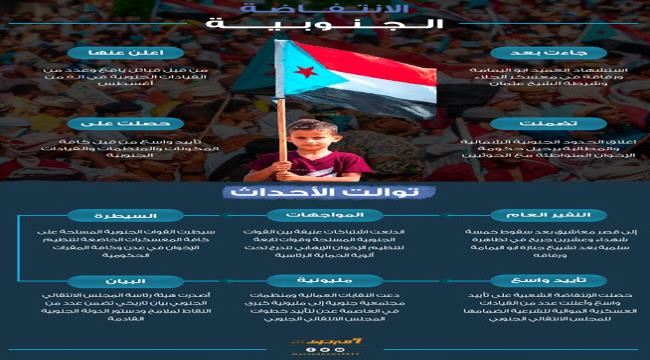 الانتفاضة الجنوبية (انفوجرافيك)