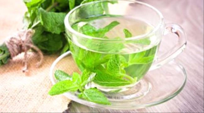 فوائد النعناع الأخضر على صحتك أهمها علاج القولون