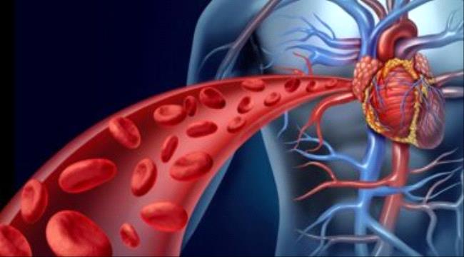 تعرف على الفرق بين الدم الشياني والدم الوريدي