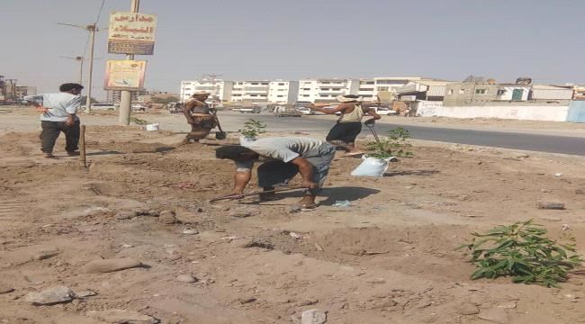 تدشين تشجير الشوارع الرئيسية بالممدارة