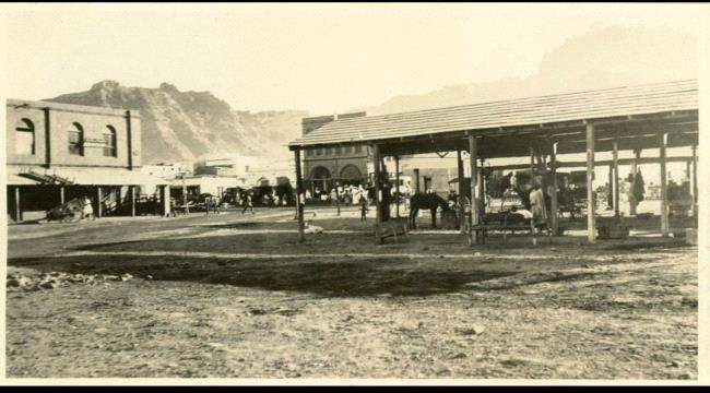  حكاية الحاج علي أبوبكر باسودان مع خيوله