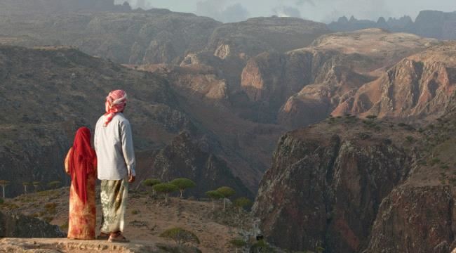 "مسام" السعودي يعلن نزع أكثر من 1500 لغم من 5 محافظات يمنية
