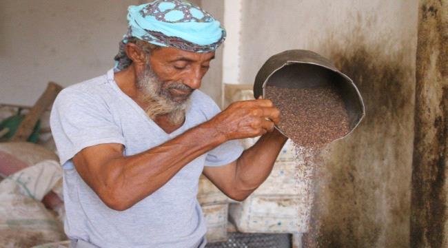 معصرة المشرعي في الخوخة.. مشفى لعلاج اليمنيين