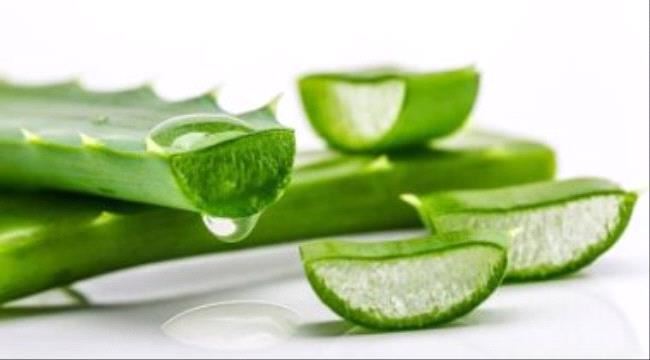 تعرف على حالات للالتهابات الجلدية يساعد جل الصبار فى علاجها