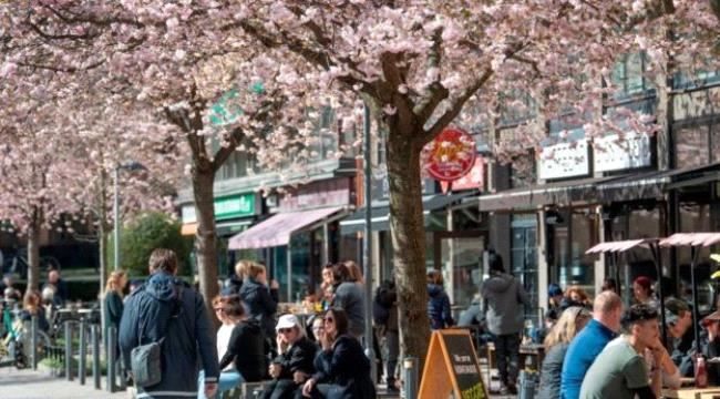 عرض الصحف البريطانية..فيروس كورونا: جدل في السويد حول "مناعة القطيع" والعمال الأجانب في الخليج يدفعون ثمن انتشار الوباء