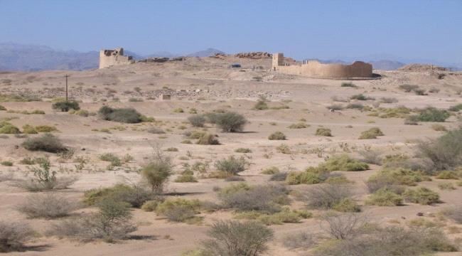 آثار اليمن بين أيدي لصوص يدعمهم الحوثي