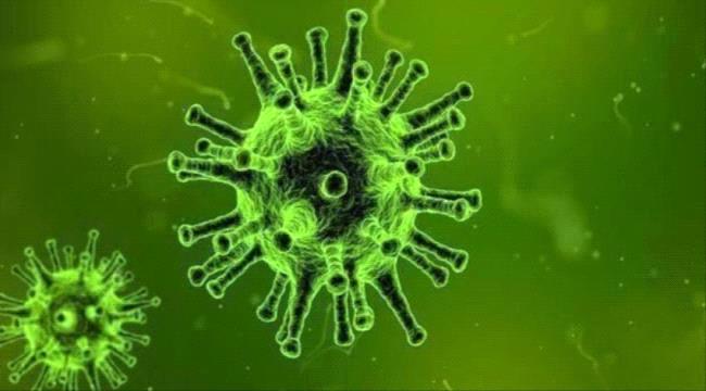  32 حالة شفاء من كورونا منها 20 في عدن و 13 اصابة جديدة  
