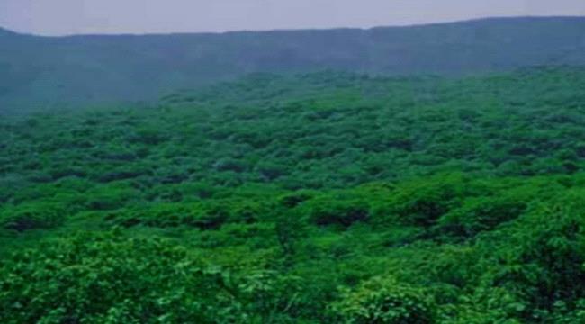 استحداث مواقع عسكرية "إخوانية" تطل على مناطق الصبيحة بلحج