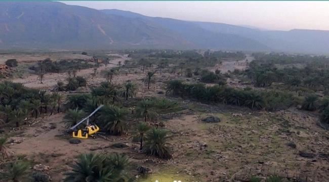 «خليفة الإنسانية» تنفّذ حملات تشجير في سقطرى