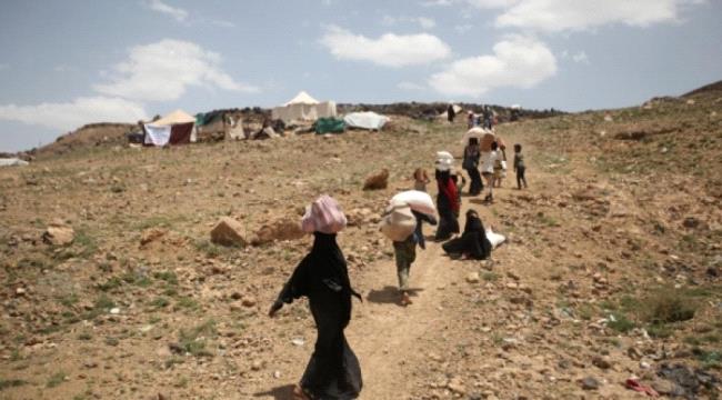 الهجرة الدولية: نزوح أكثر من 200 أسرة يمنية خلال أسبوع	