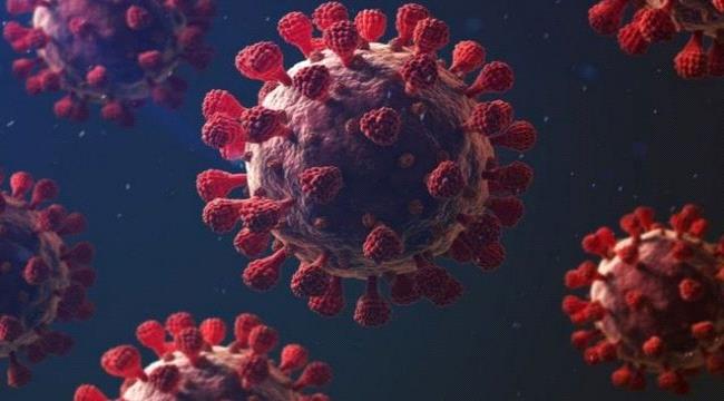  رئيس عربي يرفض أخذ لقاح كورونا