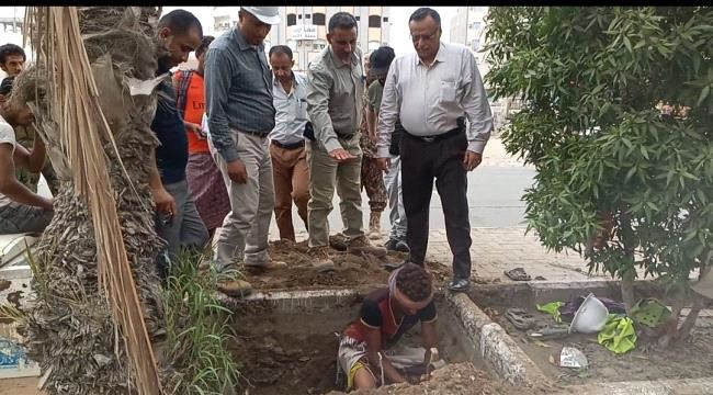 مدير عام المنصورة يدشن العمل في مشروع إنارة شارع التسعين بالطاقة الشمسية