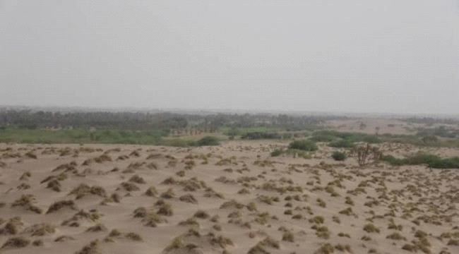 مليشيات الحوثي تستهدف القرى السكنية في منطقة الجبلية بالأسلحة المتوسطة   
