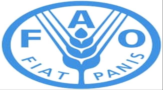 منسقو إتحاد نساء اليمن يشكون تجاهل منظمة الفاو