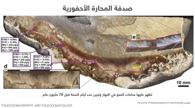 "صدفة" تكشف أن نهار الأرض كان أقصر