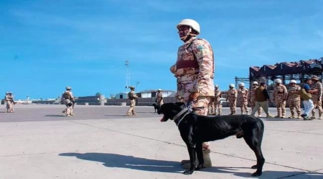 العرب الدولية : التحالف العربي ينفي شرخا في علاقته بالمجلس الانتقالي
