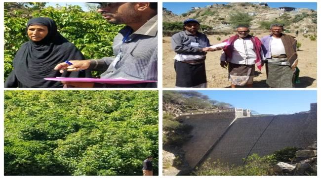 لجان مسح شجرة البن في مديرة يافع رصد تواصل عملها بوتيرة عالية