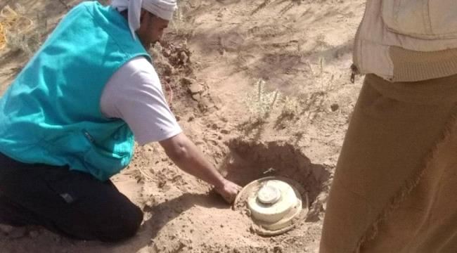 القوات المشتركة تفكك عشرات الألغام والعبوات الناسفة الحوثية غرب حيس