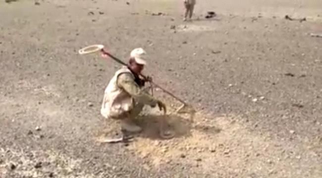 البرنامج الوطني للتعامل مع الألغام ينفذ عملية مسح ميدانية لتطهير مدرسة بني كعب في مديرية (ذو باب) من الألغام الحوثية 