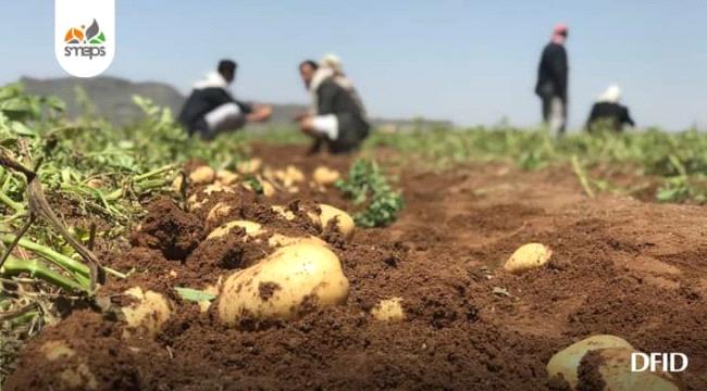 تقرير:ماهي أسباب التدهور الزراعي في اليمن؟