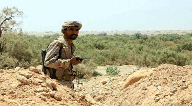 العرب اللندنية : حكومة هادي ترفض مشاركة طارق صالح في معركة مأرب