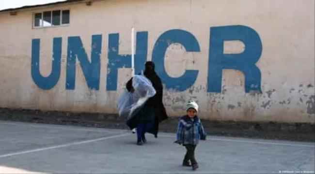 تعرف على أغرب دعم من الأمم المتحدة لليمن