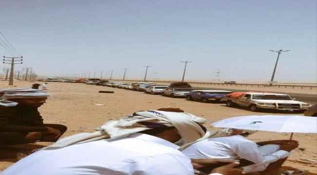 مسئول في الشرعية:وزارة الدفاع هي من اصدرت قرار منع دخول سيارات الدفع الرباعي