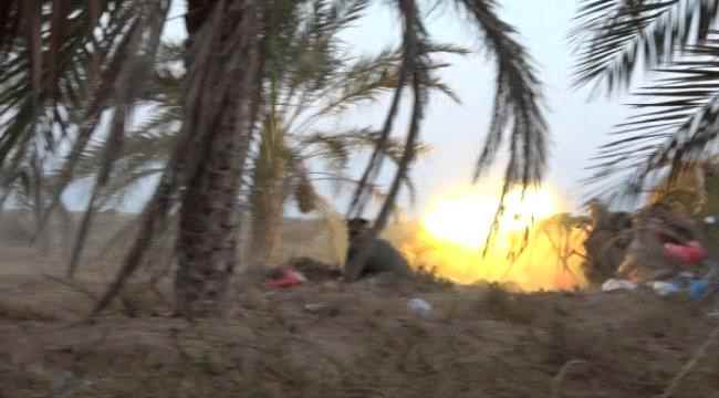 مصرع عدد من الحوثيين في هجمات جنوب الحديدة