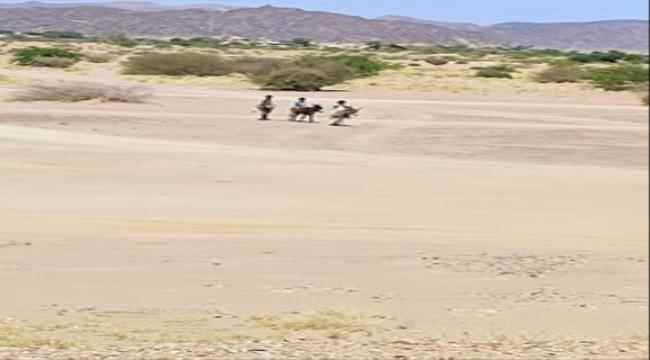 الإخوان يعودون بشبوة إلى زمن ركوب الحمير