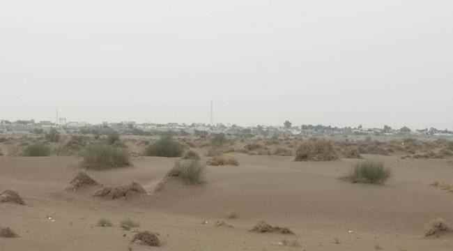 كمين مُحكم يوقع ستة قتلى من المليشيات الحوثية في محاولة تسلل شرق التحيتا