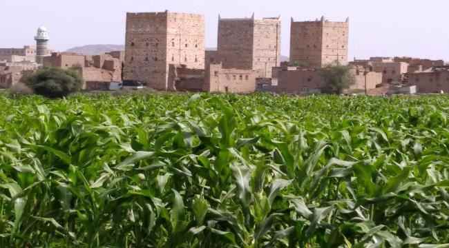 مقاومة مكيراس تختار مجلس جديد بقيادة البركاني 