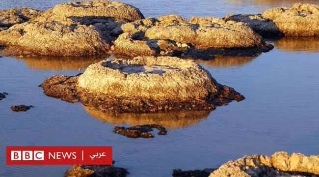 كيف استمرت أقدم أشكال الحياة في الوجود على سطح الأرض لنحو 3.5 مليار عام؟