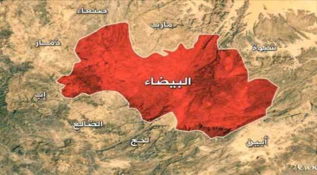 من المستفيد من نشر أخبار خيانات "الزاهر" ؟