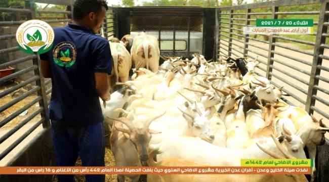 البري : 2426 أسرة استفادت من مشروع أضاحي «أفران عدن الخيرية»