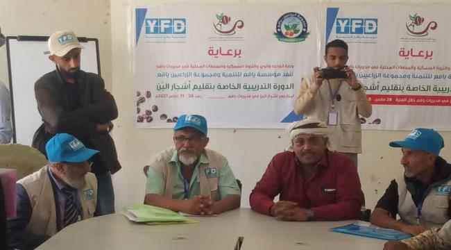 تدشين الدورة التدريبية الخاصة بتقليم أشجار البن لمزارعي البن في مديريتي رصد وسرار محافظة أبين