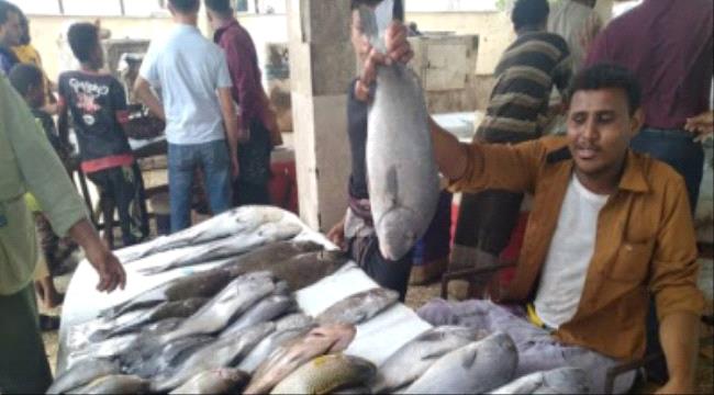 تسعيرة جديدة للأسماك في أسواق العاصمة عدن 