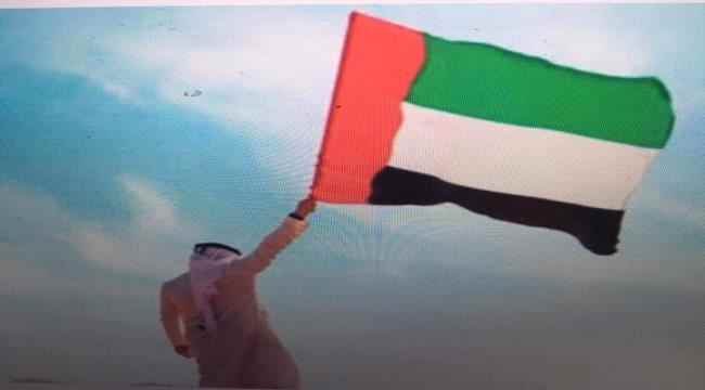 باحث عربي:الإمارات أسقطت تركيا والإخوان