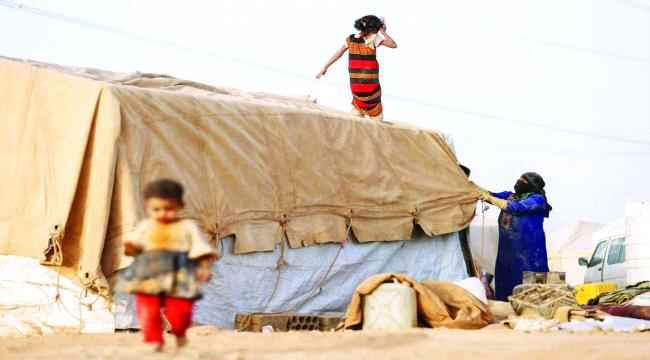 جرائم حوثية بحق النازحين جنوب مأرب