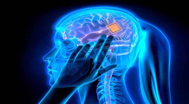 ماسك: يمكن بدء تجارب زرع شرائح بأدمغة البشر خلال 6 أشهر