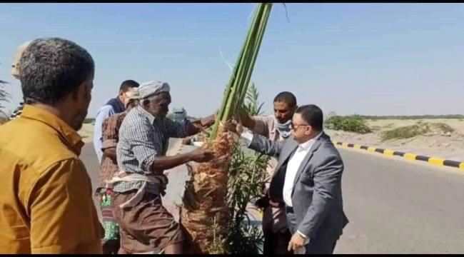 أبين..تدشين غرس ألف نخلة بزنجبار